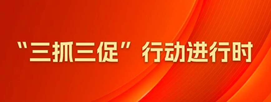 “三抓三促”行动进行时